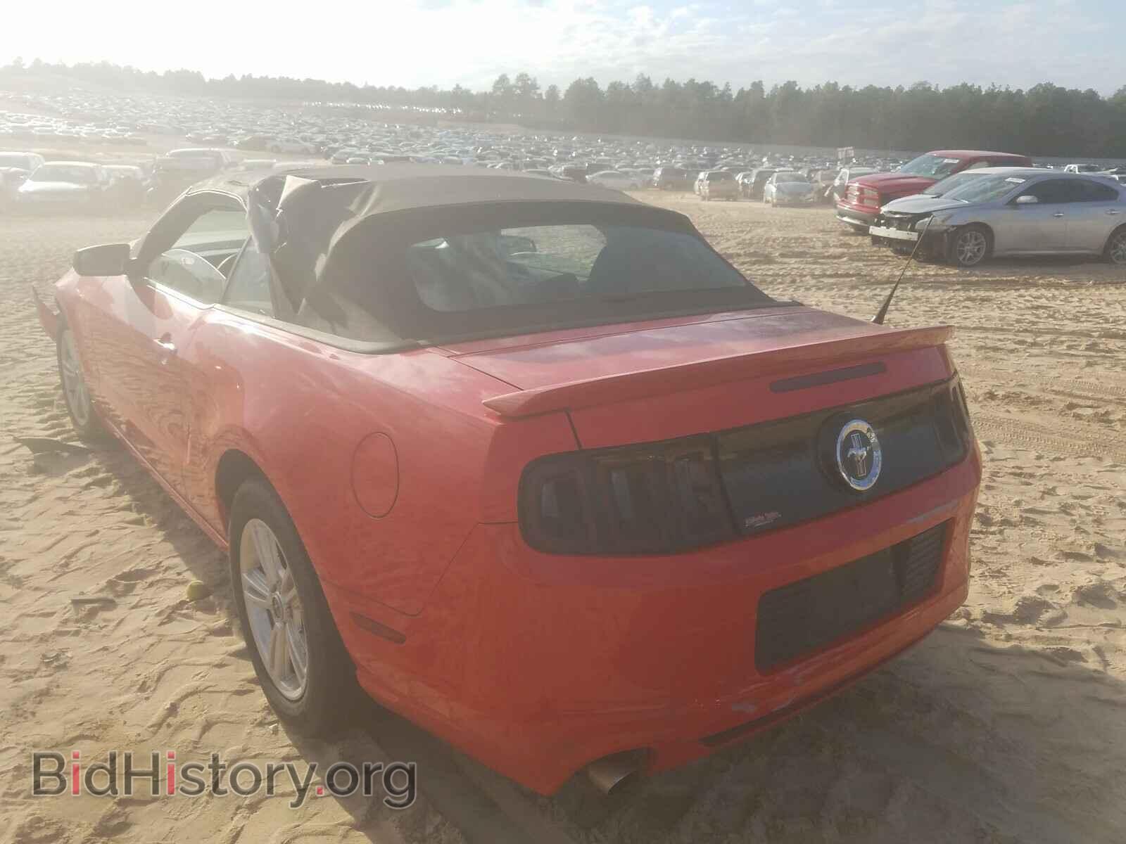 2013 FORD MUSTANG - VIN: 1ZVBP8EM8D5222032 - Фото 3