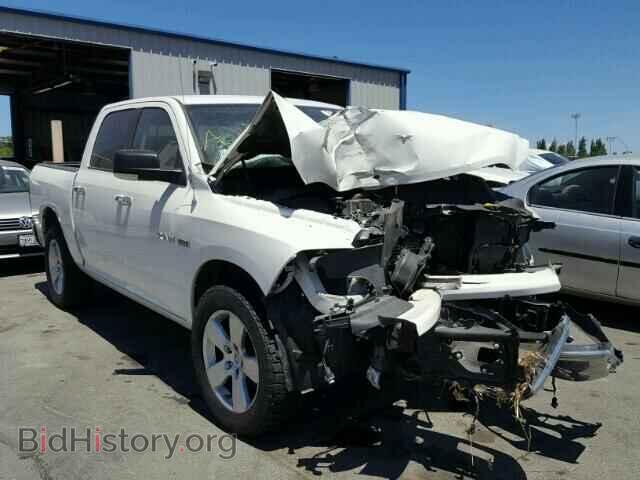 Photo 1D3HV13T39S706467 - DODGE RAM 1500 2009