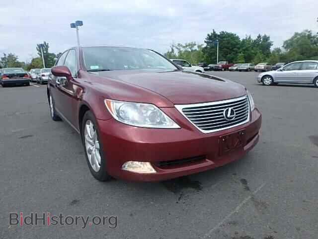 Фотография JTHCL46F095000246 - LEXUS LS460 2009