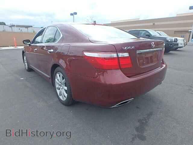 2009 LEXUS LS460 - VIN: JTHCL46F095000246 - Фото 3