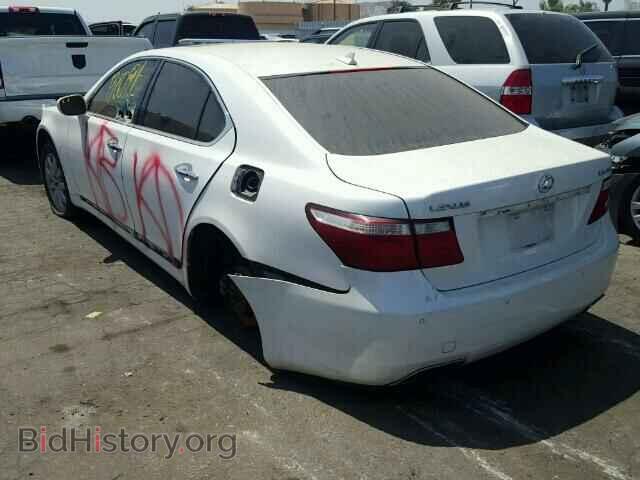 2008 LEXUS LS460 - VIN: JTHBL46F685062955 - Фото 3