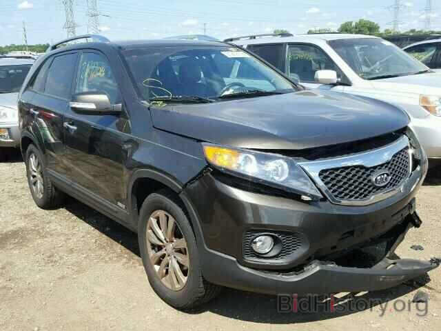 Photo 5XYKUDA23BG136687 - KIA SORENTO 2011