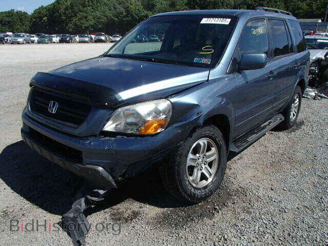 2005 HONDA PILOT - VIN: 5FNYF18545B024253 - Фото 2