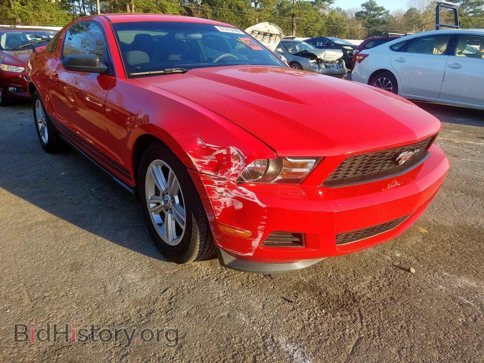 Photo 1ZVBP8AM7B5114908 - FORD MUSTANG 2011