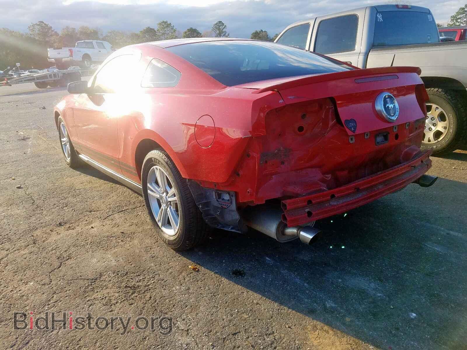 2011 FORD MUSTANG - VIN: 1ZVBP8AM7B5114908 - Фото 3