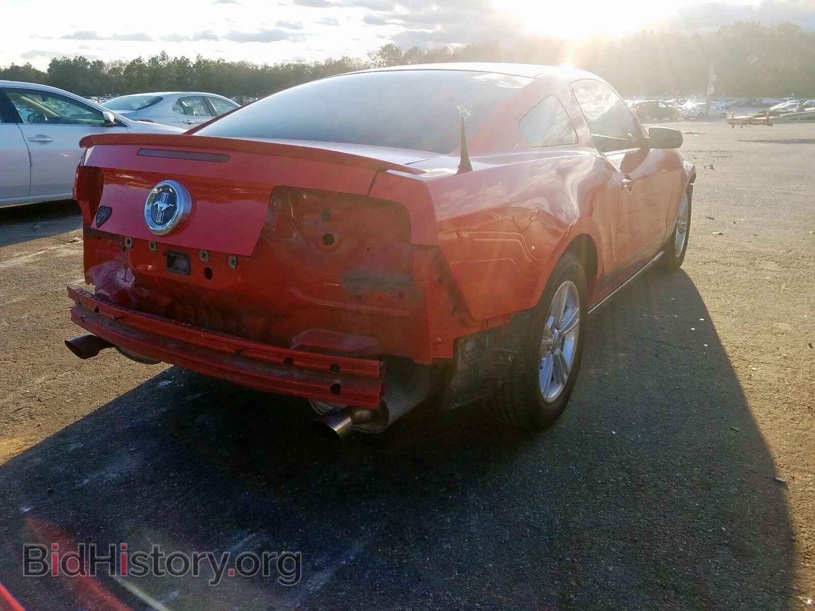 2011 FORD MUSTANG - VIN: 1ZVBP8AM7B5114908 - Фото 4