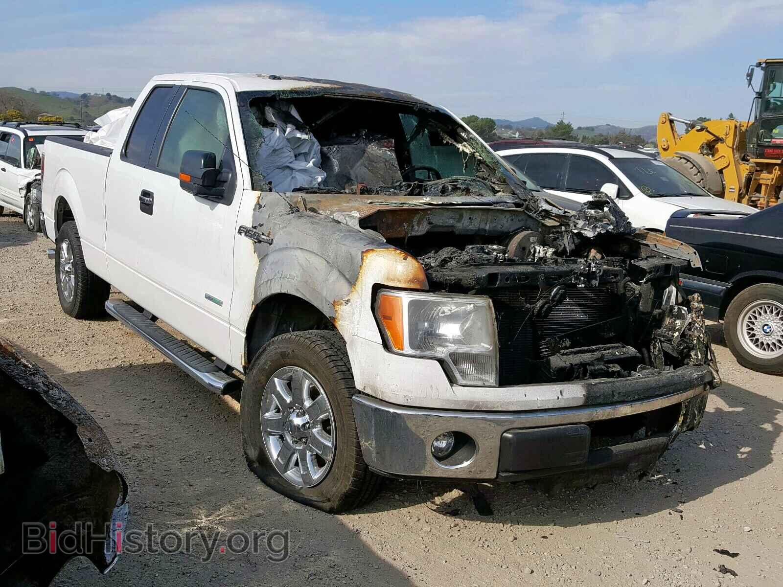 Фотография 1FTFX1CT8DFB91218 - FORD F150 2013