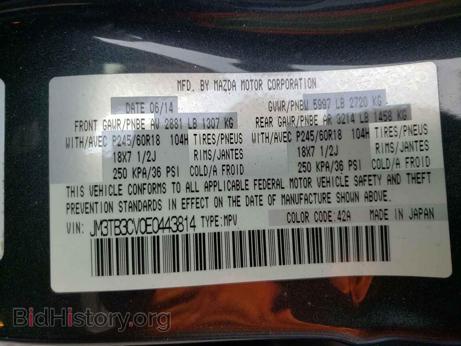 2014 MAZDA CX-9 - VIN: JM3TB3CV0E0443814 - Фото 10