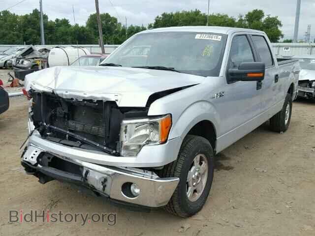 2013 FORD F150 - VIN: 1FTFW1EF6DFD34659 - Фото 2