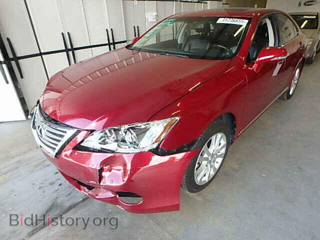 2010 LEXUS ES350 - VIN: JTHBK1EG9A2379356 - Фото 2
