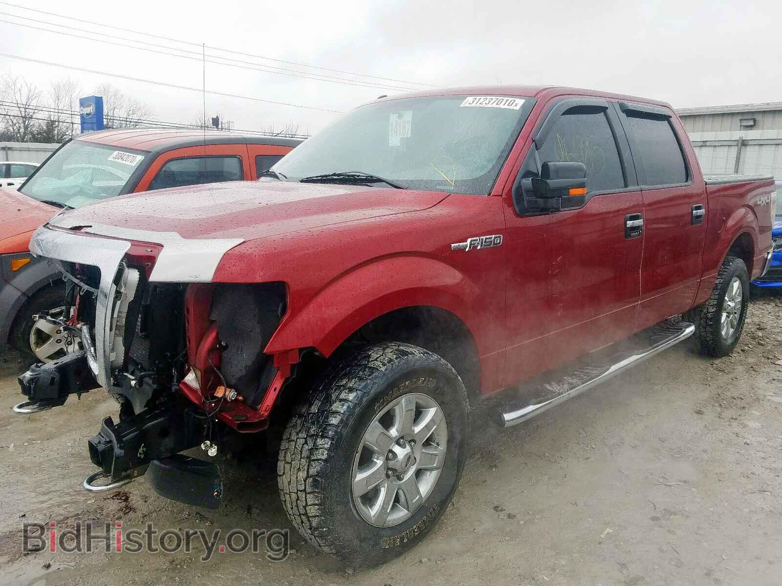 2013 FORD F150 - VIN: 1FTFW1EF8DFD79554 - Фото 2