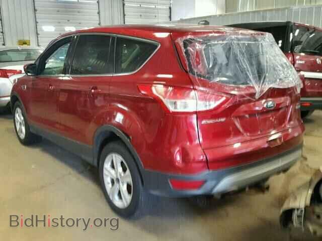 2013 FORD ESCAPE - VIN: 1FMCU0GX2DUD36621 - Фото 3