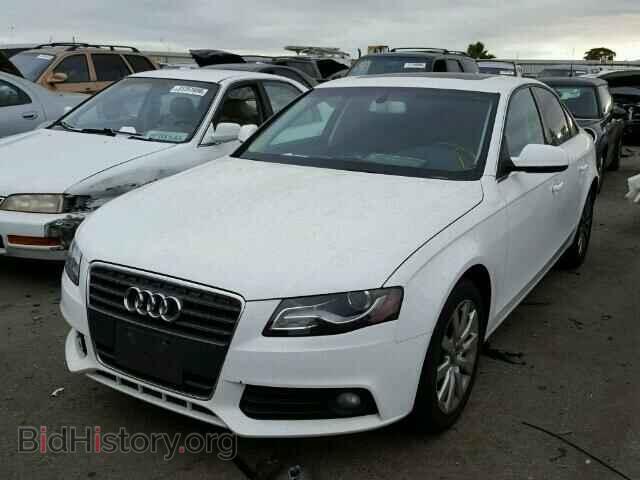 2010 AUDI A4 - VIN: WAUEFAFLXAN056234 - Фото 2