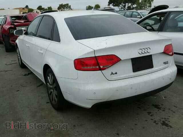 2010 AUDI A4 - VIN: WAUEFAFLXAN056234 - Фото 3