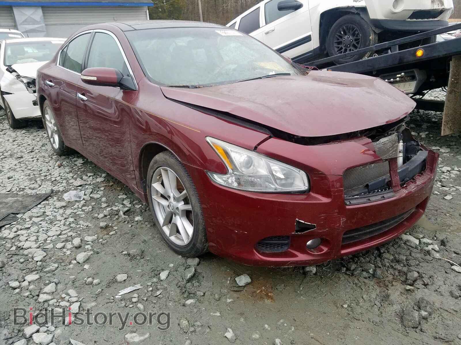 Фотография 1N4AA5AP8BC850833 - NISSAN MAXIMA 2011