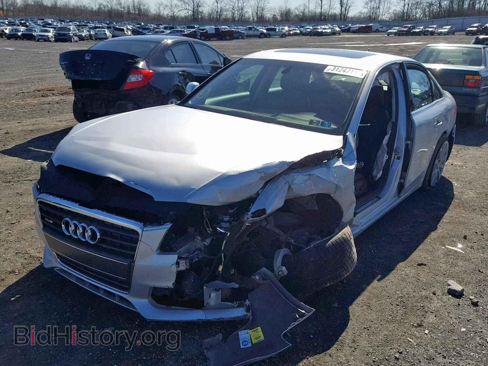 2011 AUDI A4 - VIN: WAUFFAFL8BN024503 - Фото 2