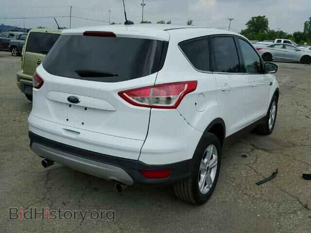 2013 FORD ESCAPE - VIN: 1FMCU0GX2DUA74308 - Фото 4