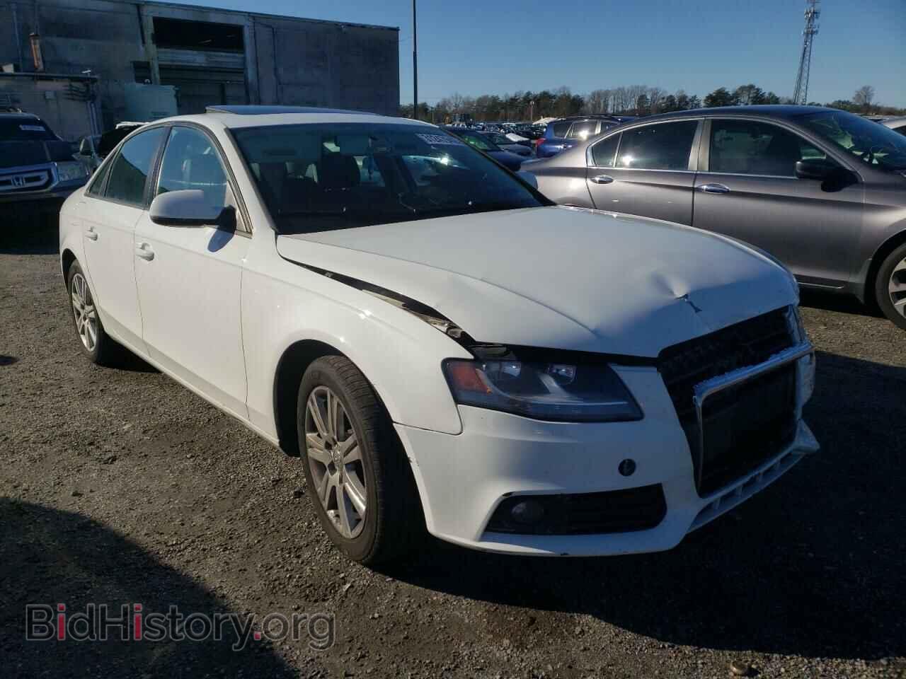 Фотография WAUBFAFL8BN031286 - AUDI A4 2011
