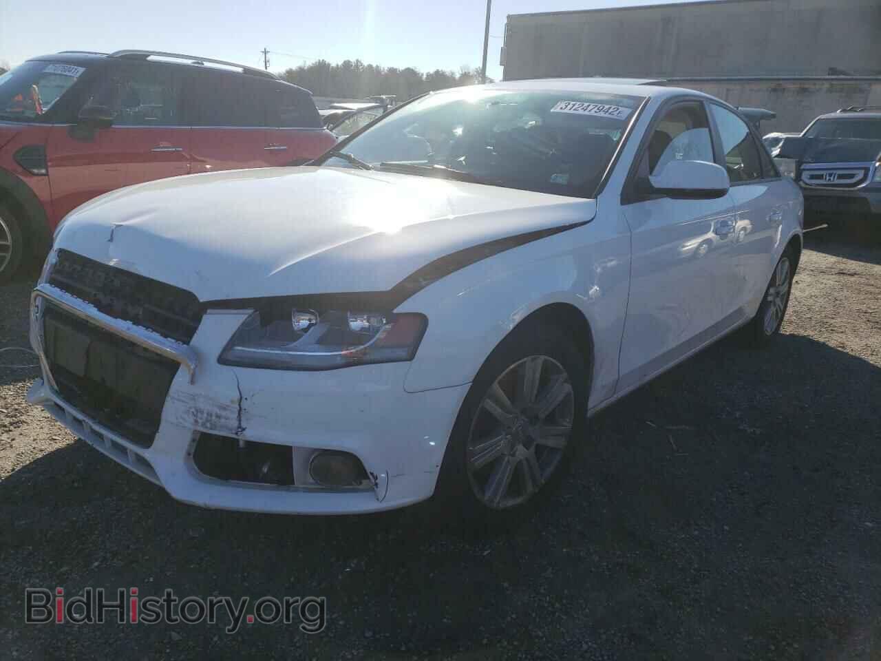 2011 AUDI A4 - VIN: WAUBFAFL8BN031286 - Фото 2
