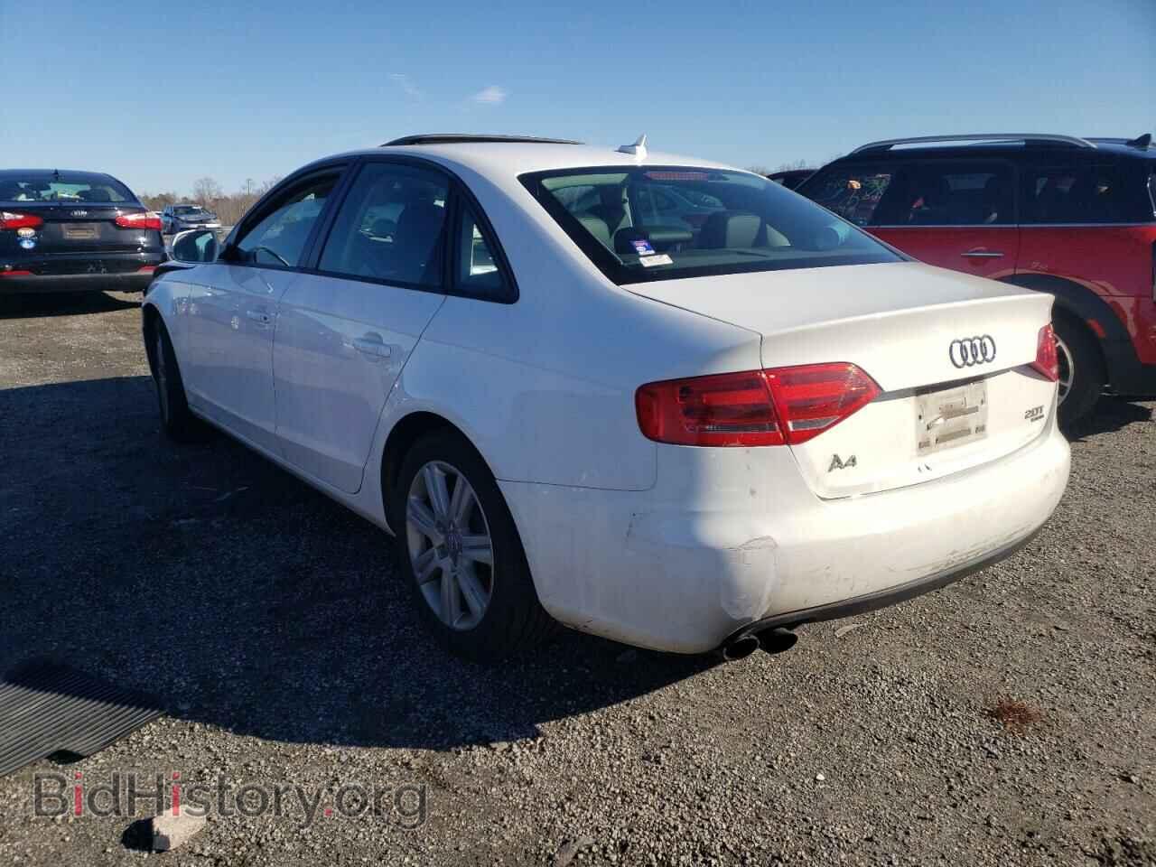 2011 AUDI A4 - VIN: WAUBFAFL8BN031286 - Фото 3