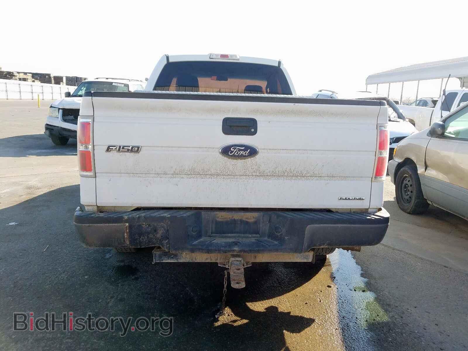 2013 FORD F150 - VIN: 1FTMF1CM6DKD96529 - Фото 6