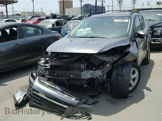 2013 FORD ESCAPE - VIN: 1FMCU0GX4DUD10439 - Фото 2