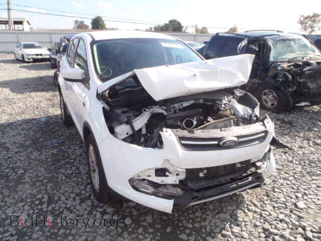 Фотография 1FMCU0GX4DUA02185 - FORD ESCAPE 2013