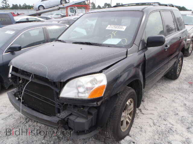 2005 HONDA PILOT - VIN: 2HKYF18775H535295 - Фото 2