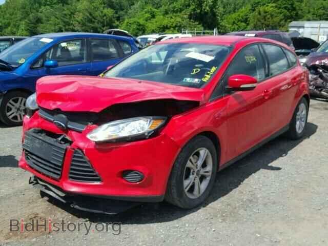2013 FORD FOCUS - VIN: 1FADP3K21DL224272 - Фото 2
