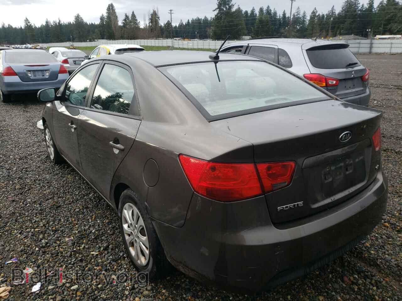 2011 KIA FORTE - VIN: KNAFU4A20B5347496 - Фото 3