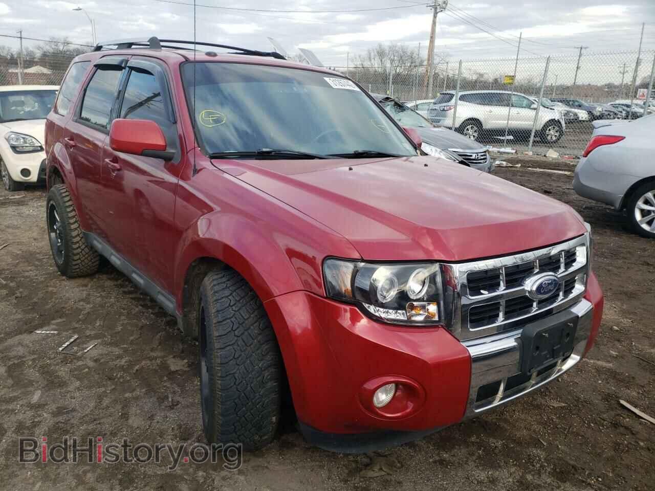 Фотография 1FMCU0EG5AKB61145 - FORD ESCAPE 2010