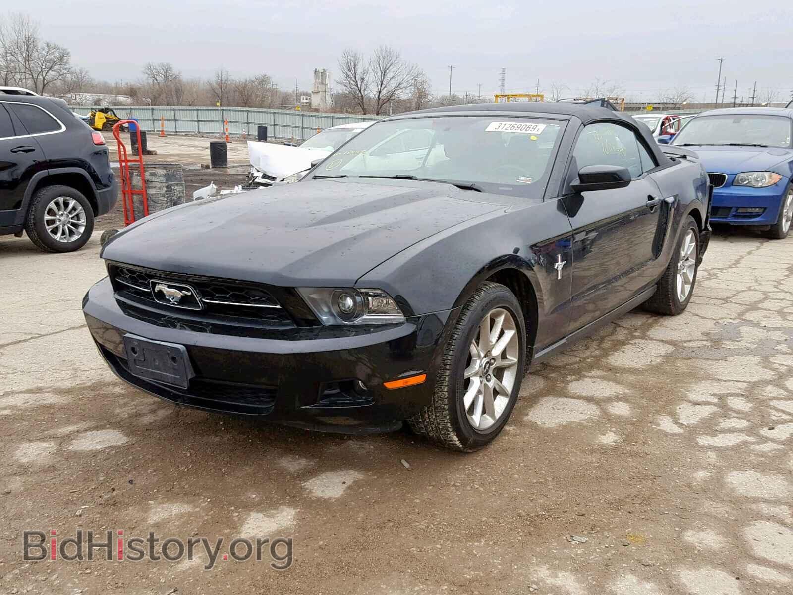 2011 FORD MUSTANG - VIN: 1ZVBP8EM8B5134093 - Фото 2