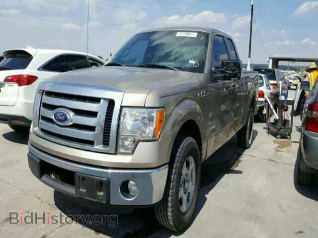2011 FORD F150 - VIN: 1FTFX1CT8BFB42937 - Фото 2