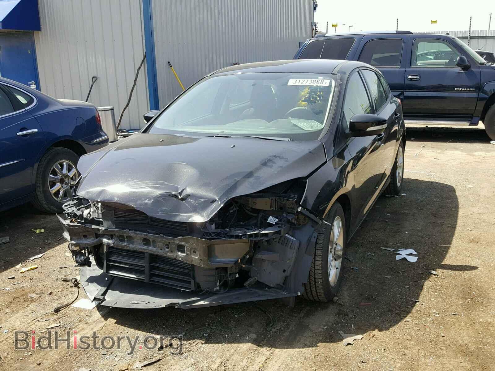 2013 FORD FOCUS - VIN: 1FADP3K24DL349704 - Фото 2