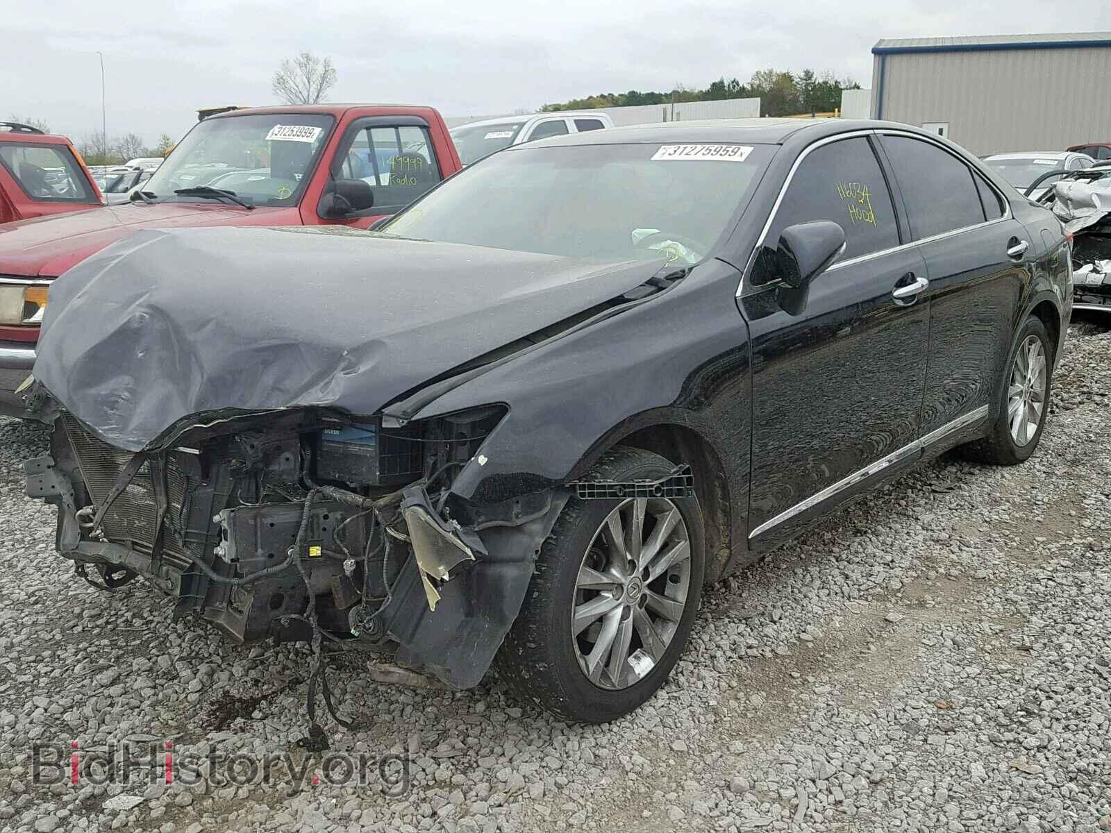 2011 LEXUS ES350 - VIN: JTHBK1EG5B2443328 - Фото 2