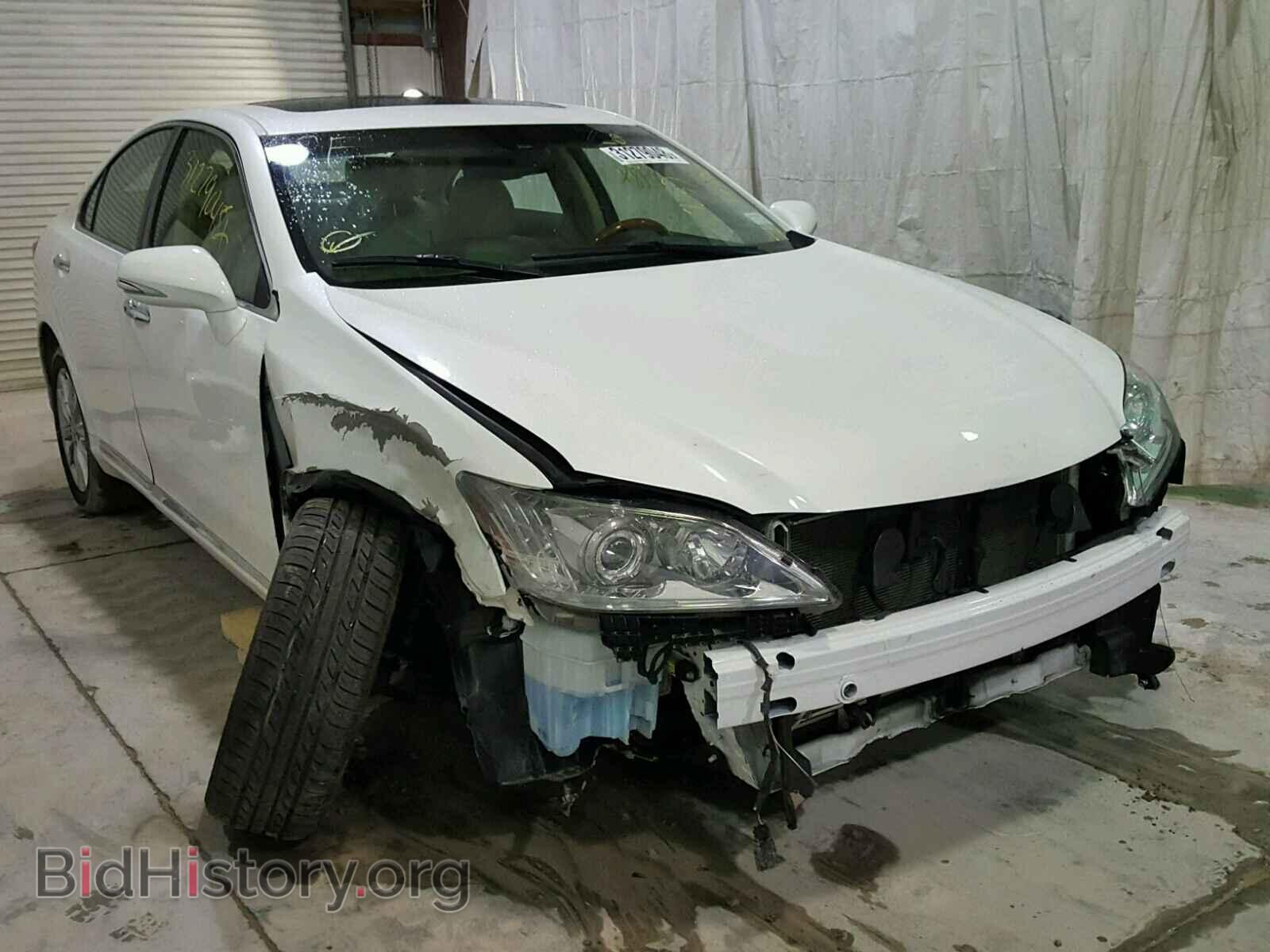 Фотография JTHBK1EG2C2508752 - LEXUS ES350 2012