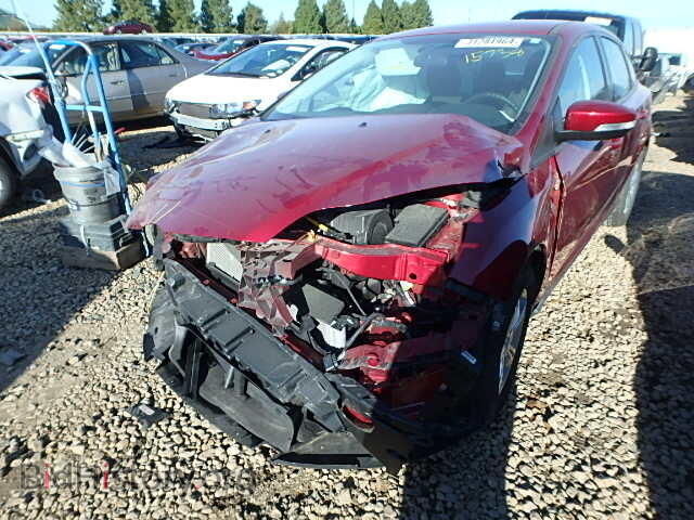 2014 FORD FOCUS - VIN: 1FADP3F2XEL136316 - Photo 2