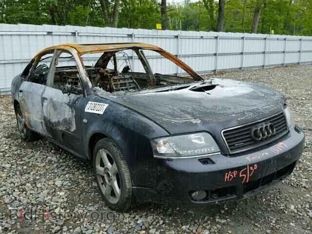 Фотография WAULT64B84N053361 - AUDI A6 2004