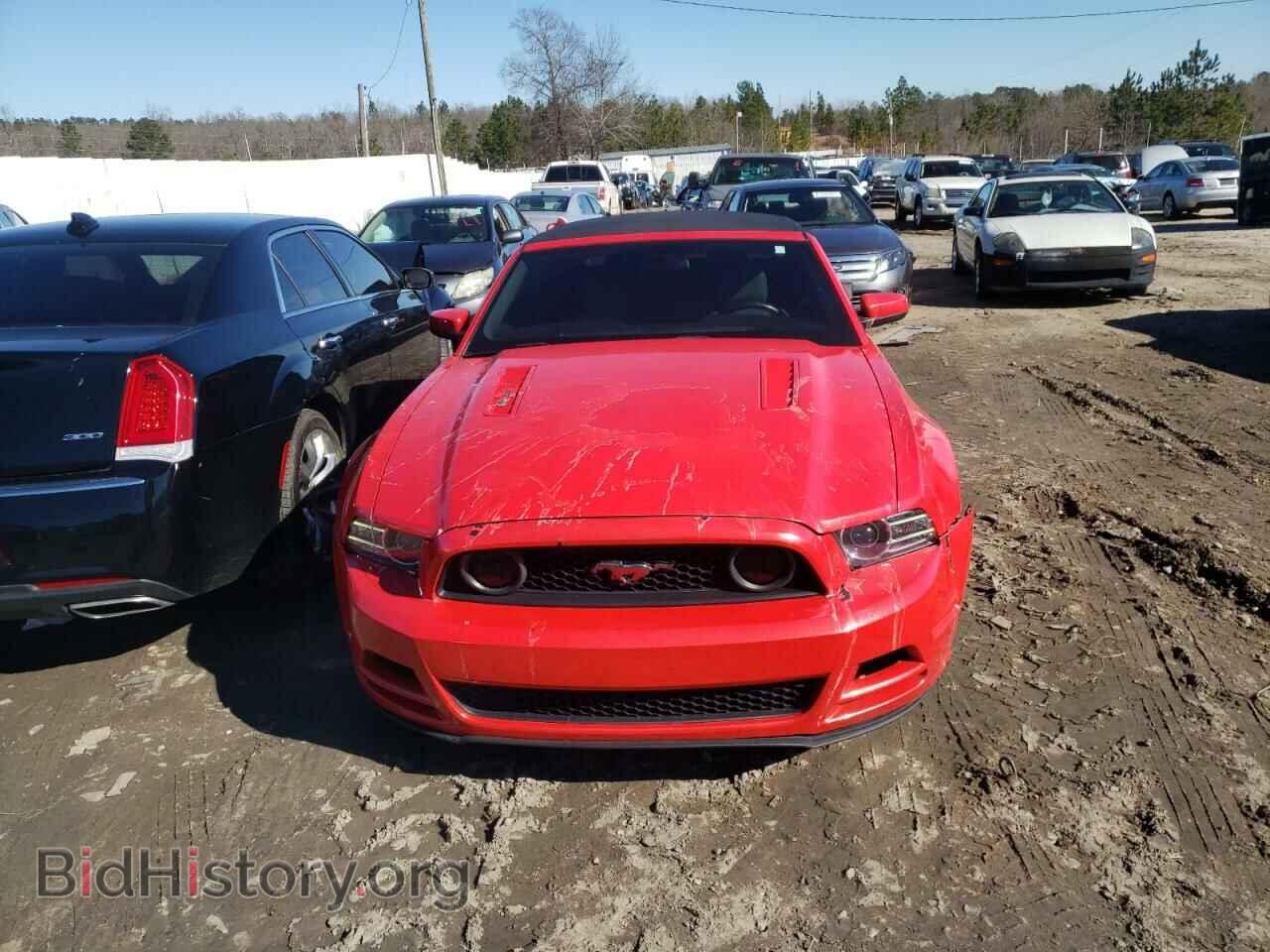 2013 FORD MUSTANG - VIN: 1ZVBP8FF4D5217992 - Фото 9
