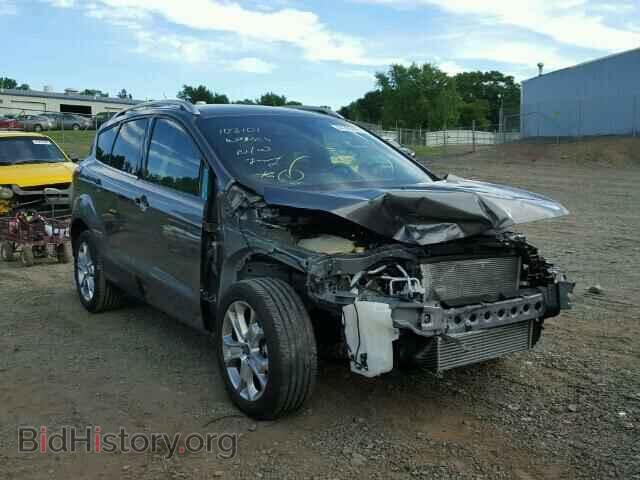 Фотография 1FMCU0J92EUD29132 - FORD ESCAPE 2014