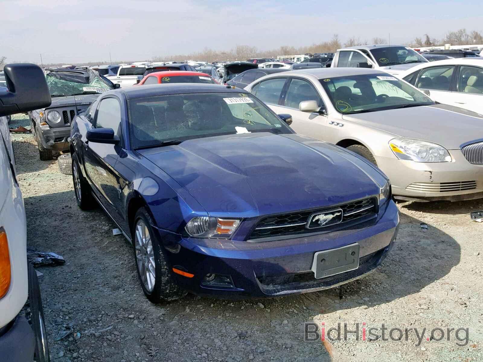 Фотография 1ZVBP8AM4C5247496 - FORD MUSTANG 2012