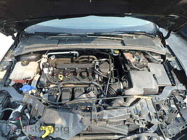 2014 FORD FOCUS - VIN: 1FADP3F22EL423424 - Photo 7