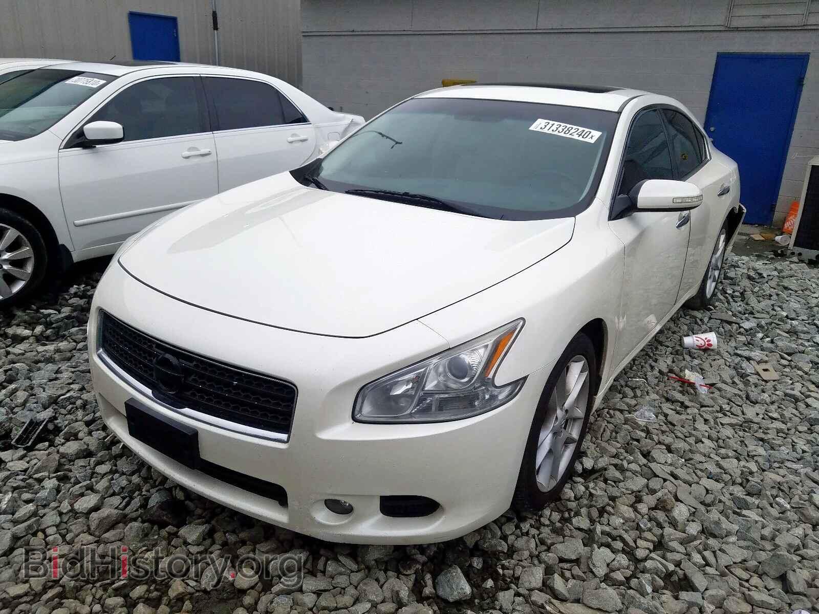 2011 NISSAN MAXIMA - VIN: 1N4AA5AP5BC811472 - Фото 2