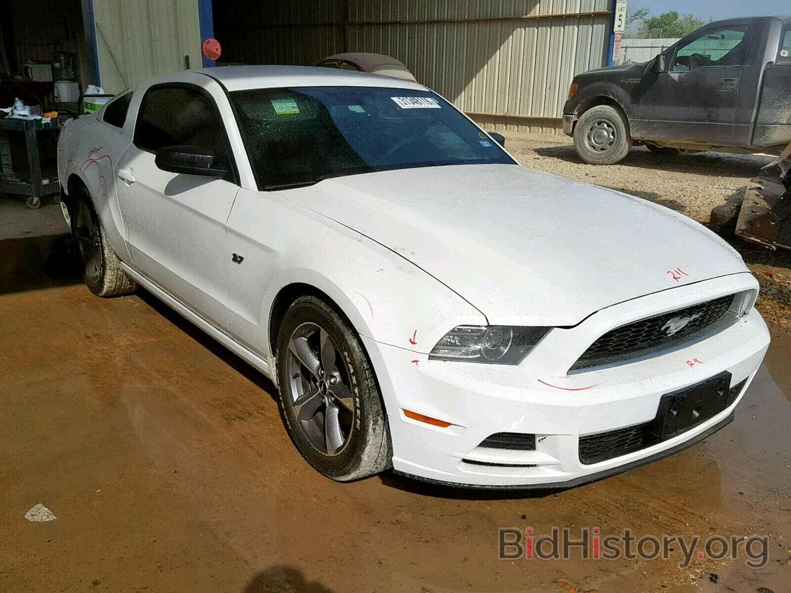 Photo 1ZVBP8AM2E5204617 - FORD MUSTANG 2014