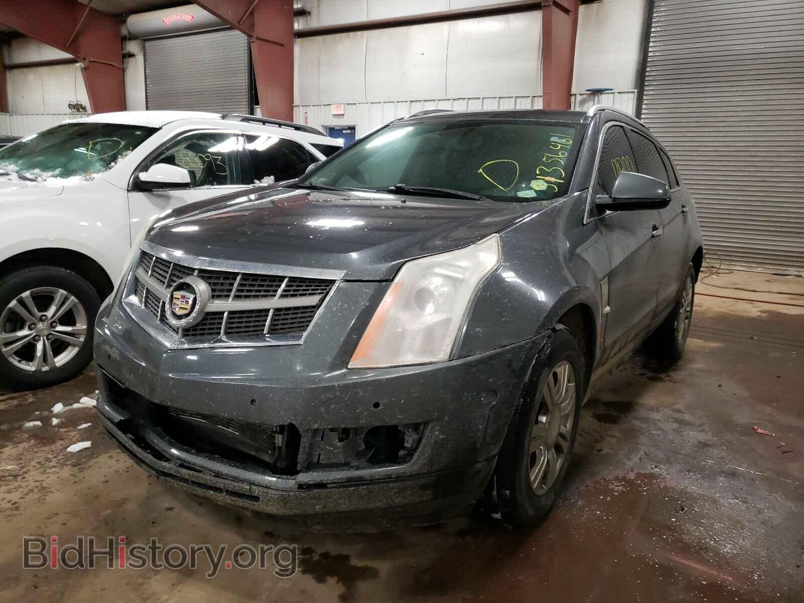 2010 CADILLAC SRX - VIN: 3GYFNAEY2AS544424 - Фото 2
