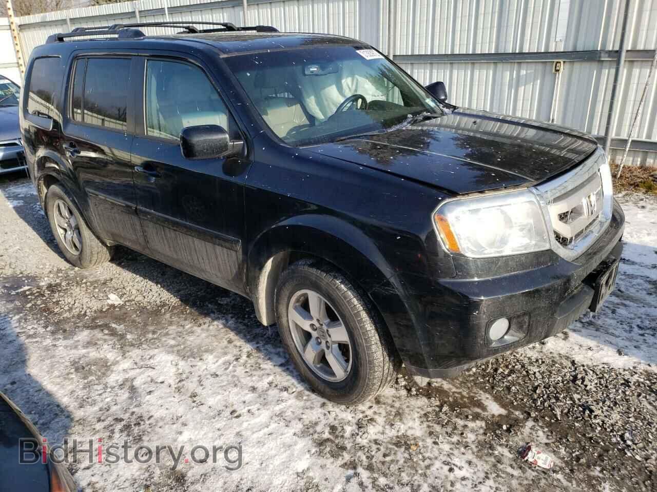 Фотография 5FNYF4H61BB036625 - HONDA PILOT 2011