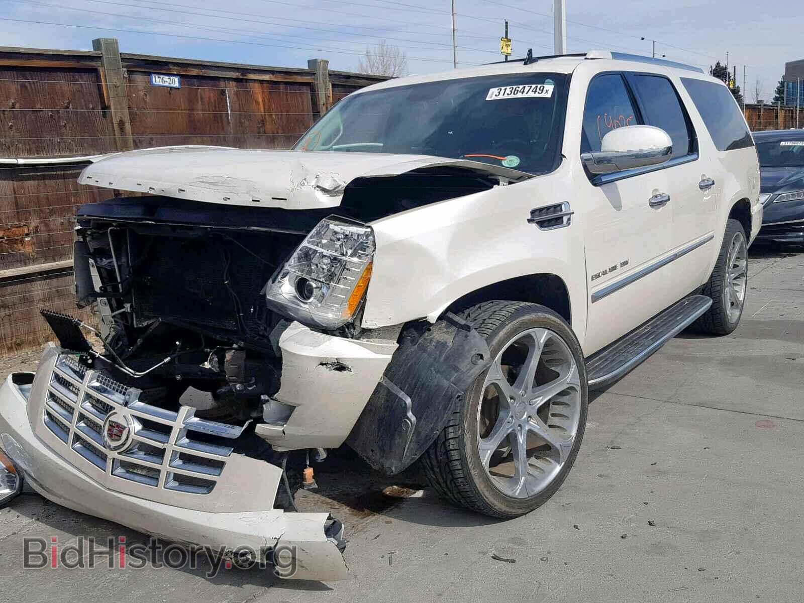 2011 CADILLAC ESCALADE E - VIN: 1GYS4HEF6BR237433 - Фото 2