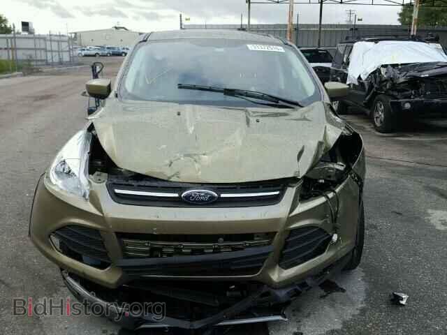 2013 FORD ESCAPE - VIN: 1FMCU0GX1DUD49389 - Photo 9