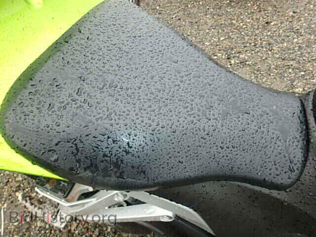 2009 HONDA CBR CYCLE - VIN: JH2PC40079K204770 - Фото 6