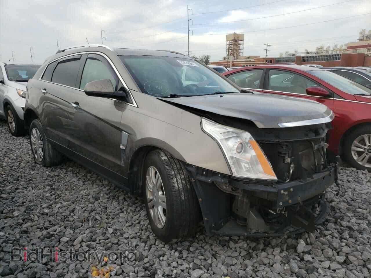 Фотография 3GYFNDE38CS566162 - CADILLAC SRX 2012